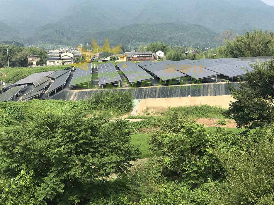 SolarPower Các thị trường mới nổi của Châu Âu gặp gỡ với Cơ quan Năng lượng Tái tạo và Mới của Ai Cập
